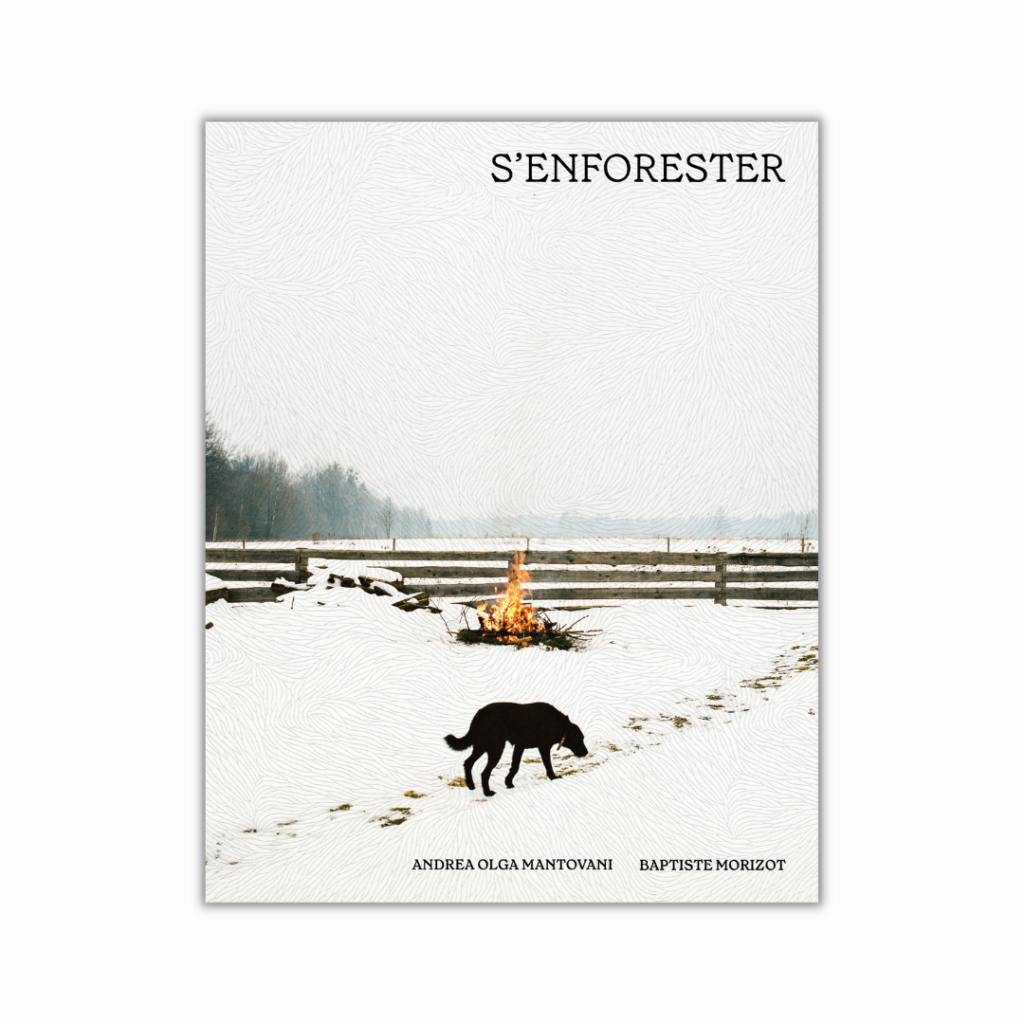 S’ENFORESTER