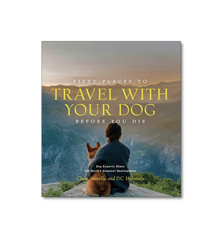TRAVEL WITH YOUR DOG