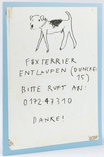 Veuillez regarder dans la cave