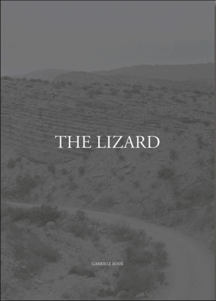 The Lizard