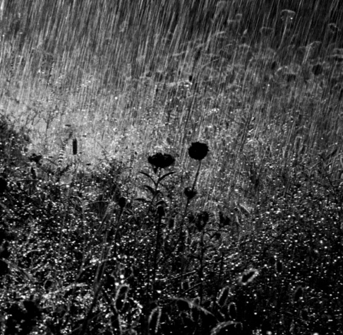 Dérives et navigations des étoiles