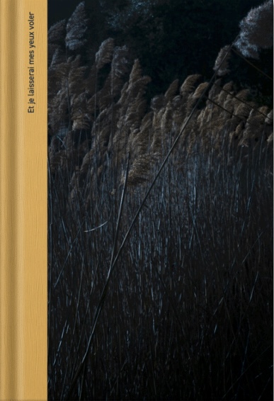 Et je laisserai mes yeux voler