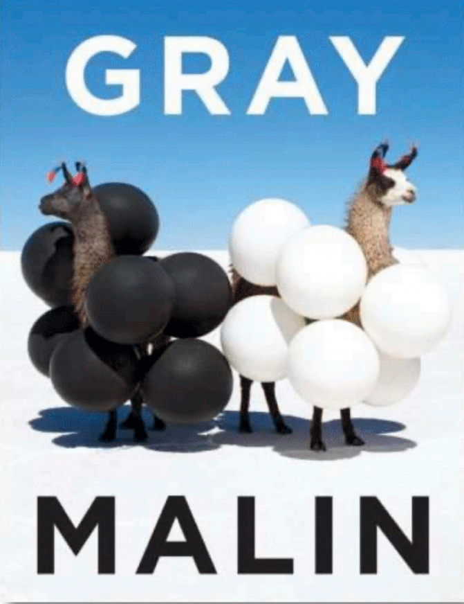 Gray Malin