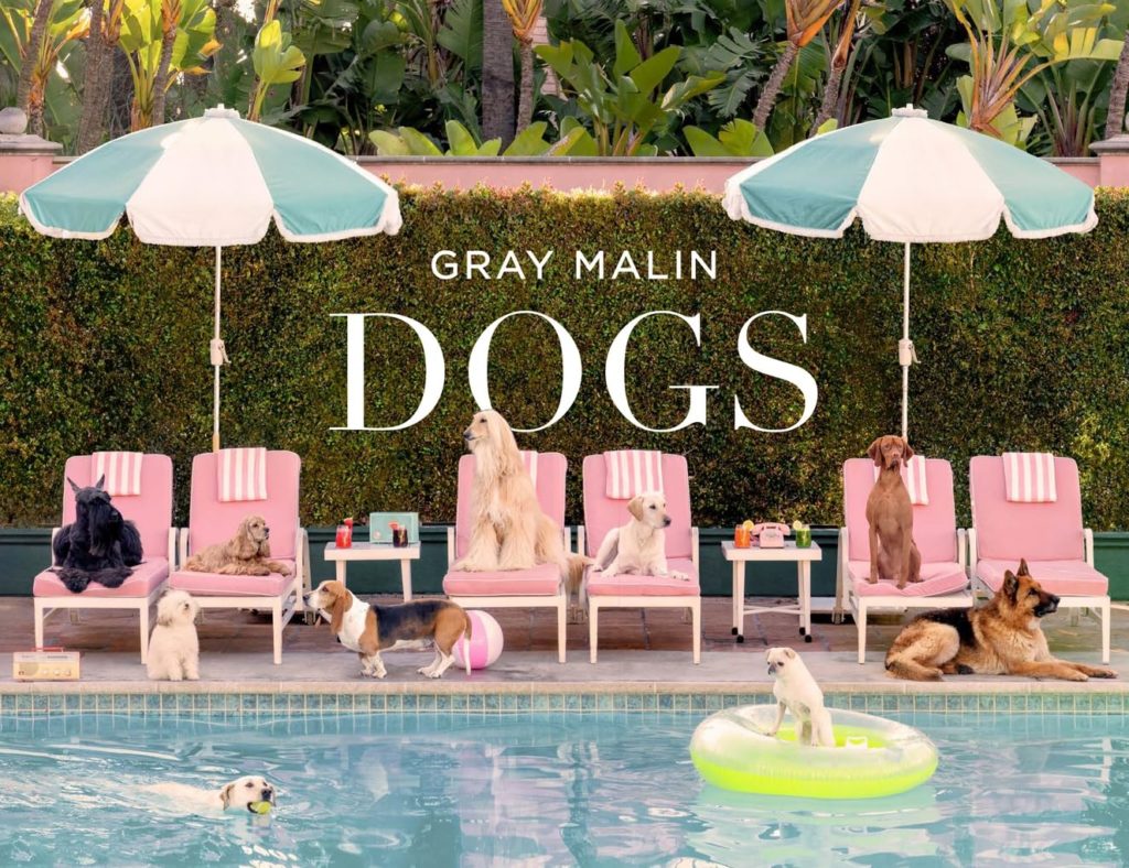 Gray Malin : Dogs
