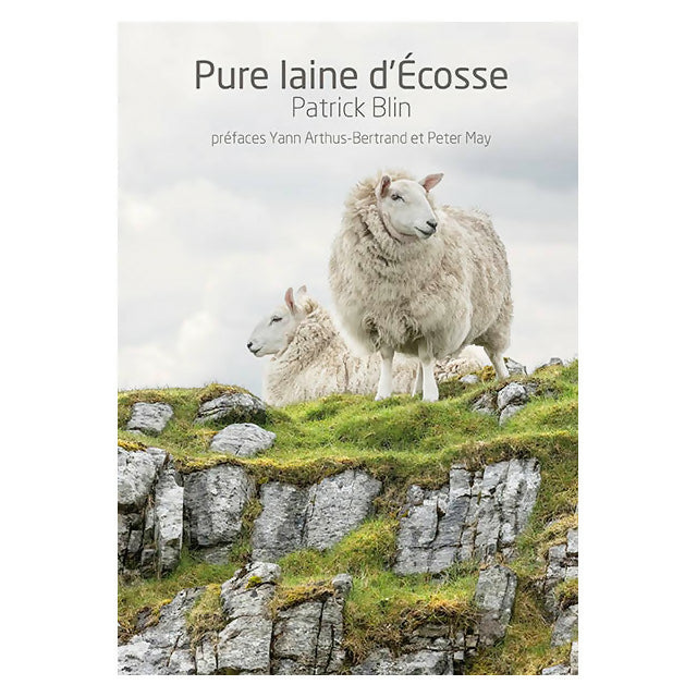 Pure Laine d’Écosse
