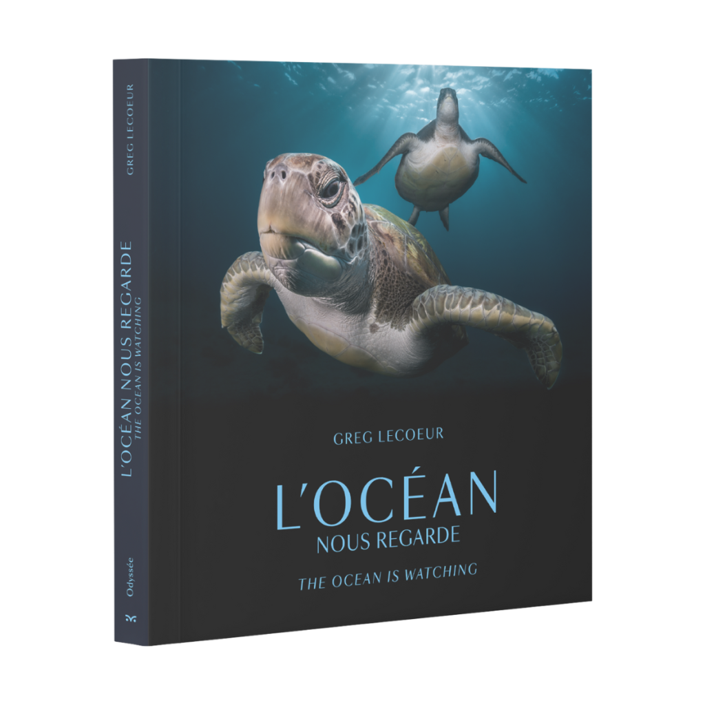 L’Océan nous regarde