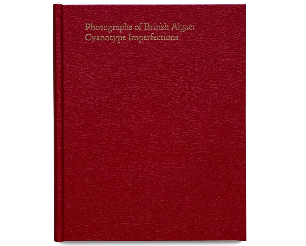 Photographs of British Algae